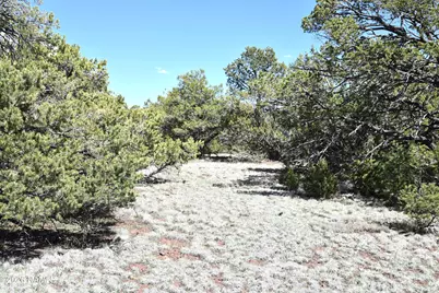 20203017 Griffin Road, Williams, AZ 86046 - Photo 9