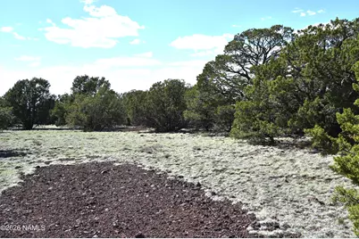 20203017 Griffin Road, Williams, AZ 86046 - Photo 5