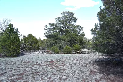 20203017 Griffin Road, Williams, AZ 86046 - Photo 1