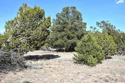 12498 N Chino Road, Williams, AZ 86046 - Photo 3