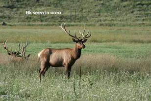 2922 Kweo Trail, Flagstaff, AZ 86005 - Photo 31