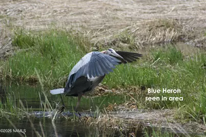 2922 Kweo Trail, Flagstaff, AZ 86005 - Photo 29