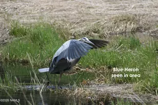 2922 Kweo Trail, Flagstaff, AZ 86005 - Photo 29