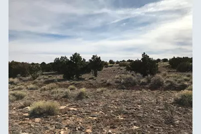 5597 S Cattle Tank Road, Williams, AZ 86046 - Photo 5