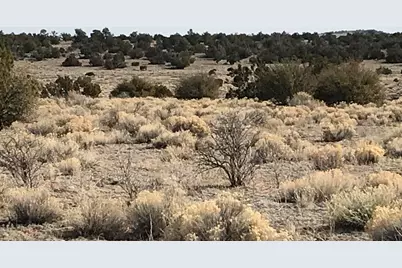 5597 S Cattle Tank Road, Williams, AZ 86046 - Photo 11