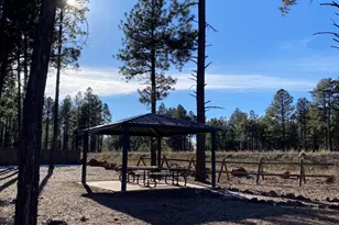 2933 W Putnam Dr, Flagstaff, AZ 86001 - Photo 49