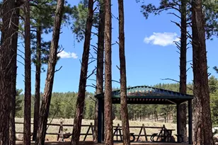 2933 W Putnam Dr, Flagstaff, AZ 86001 - Photo 51