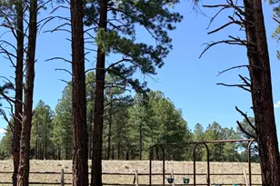 2933 W Putnam Dr, Flagstaff, AZ 86001 - Photo 53