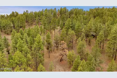 7804 E Long Bow Drive, Williams, AZ 86046 - Photo 11