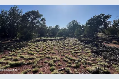 8801 S Rim Ranch Road, Williams, AZ 86046 - Photo 7