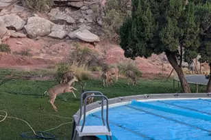 4080 Black Mesa Valley Rd, Snowflake, AZ 85937 - Photo 5