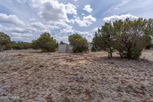 1115 E Tamarack St, Williams, AZ 86046 - Photo 13
