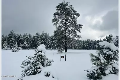 307 E Foxboro Road, Munds Park, AZ 86017 - Photo 3