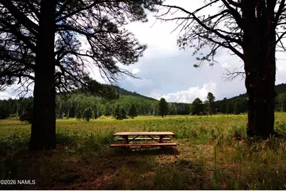 15820 Forest Service 9008S Road, Flagstaff, AZ 86001 - Photo 5