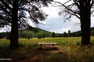 15820 Forest Service 9008s Rd, Flagstaff, AZ 86001 - Photo 5