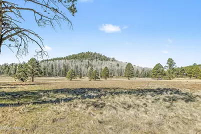 15820 Forest Service 9008S Road, Flagstaff, AZ 86001 - Photo 35