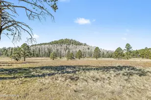 15820 Forest Service 9008s Rd, Flagstaff, AZ 86001 - Photo 35
