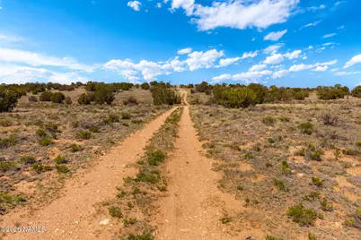 2944 S Lowell Drive, Williams, AZ 86046 - Photo 7