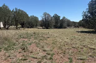 1159 W Foothills Dr, Williams, AZ 86046 - Photo 29