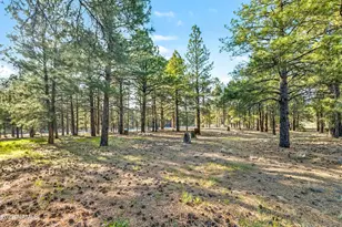 1067 W Deadwood Ct, Flagstaff, AZ 86005 - Photo 27
