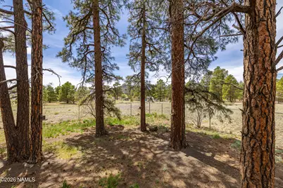 10510 Cross Road, Flagstaff, AZ 86004 - Photo 9