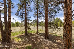 10510 Cross Rd, Flagstaff, AZ 86004 - Photo 9