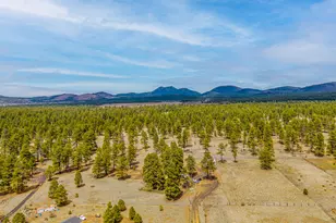 10510 Cross Rd, Flagstaff, AZ 86004 - Photo 19