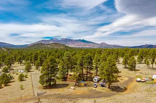 10510 Cross Rd, Flagstaff, AZ 86004 - Photo 17