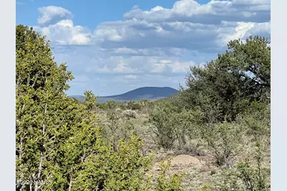 4800 Whitetail Loop, Williams, AZ 86046 - Photo 1
