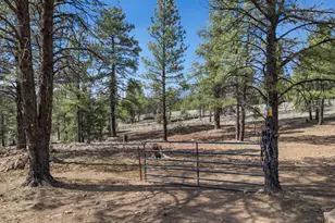 1290 S Herold Rnch Rd, Flagstaff, AZ 86004 - Photo 15