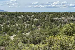 6077 N Cliff Rose, Williams, AZ 86046 - Photo 17