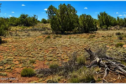 579 S Overland Trail, Williams, AZ 86046 - Photo 9