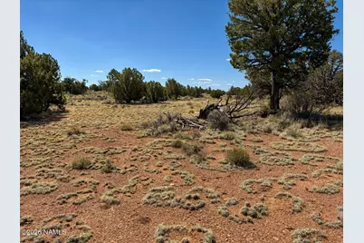 579 S Overland Trail, Williams, AZ 86046 - Photo 23