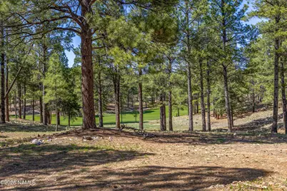3655 S Woodland Hills Drive Lot #366, Flagstaff, AZ 86005 - Photo 17