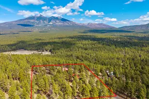 4975 Hidden Hollow Rd, Flagstaff, AZ 86001 - Photo 51
