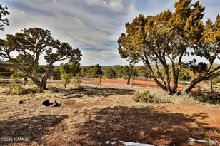 786 E Broncos Trail, Williams, AZ 86046 - Photo 169