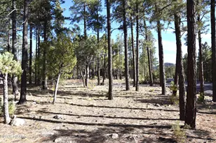 1085 Timbernook, Williams, AZ 86046 - Photo 1