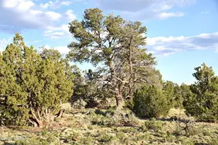 3391 E Indian Meadows Rd, Williams, AZ 86046 - Photo 1