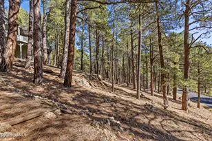 2705 Bucky Oneill, Flagstaff, AZ 86005 - Photo 5