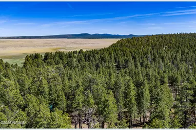 6248 Dairy Lane, Mormon Lake, AZ 86038 - Photo 45
