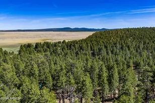 6248 Dairy Ln, Mormon Lake, AZ 86038 - Photo 45