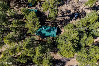 6248 Dairy Lane, Mormon Lake, AZ 86038 - Photo 3