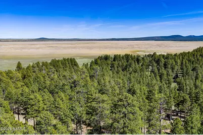 6248 Dairy Lane, Mormon Lake, AZ 86038 - Photo 37
