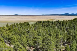 6248 Dairy Ln, Mormon Lake, AZ 86038 - Photo 37