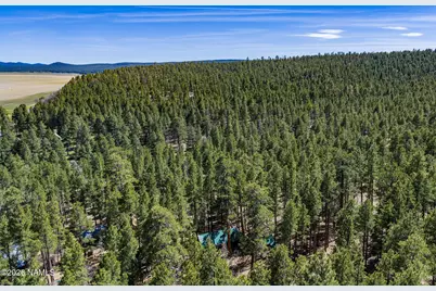 6248 Dairy Lane, Mormon Lake, AZ 86038 - Photo 1