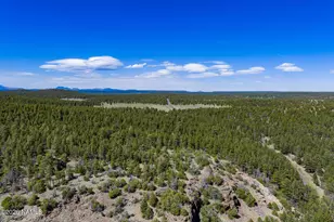 6248 Dairy Ln, Mormon Lake, AZ 86038 - Photo 43