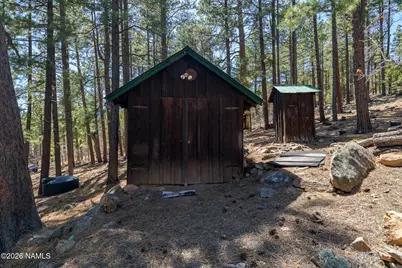 6248 Dairy Lane, Mormon Lake, AZ 86038 - Photo 35