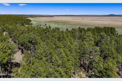 6248 Dairy Lane, Mormon Lake, AZ 86038 - Photo 41