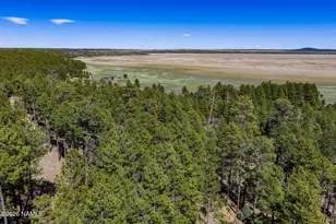 6248 Dairy Ln, Mormon Lake, AZ 86038 - Photo 41