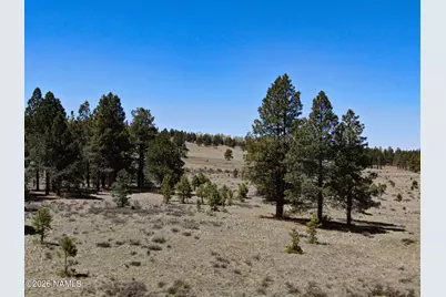 001 Hart Prairie Rd, Flagstaff, AZ 86001 - Photo 5